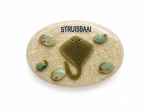 Fridge Magnet - Oblong - Stingray Code M234