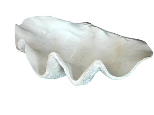 Clam resin Size34cmX21cm