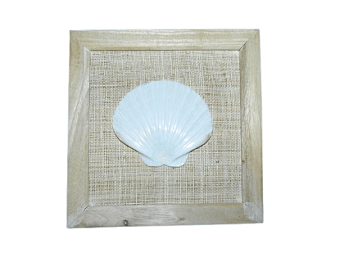 Framed-Scallop-Shell