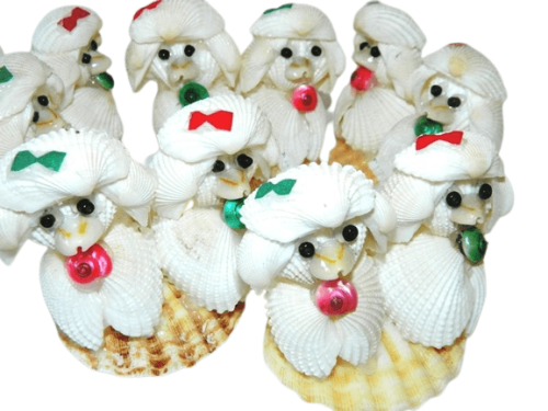 Poodle Cockle Shell