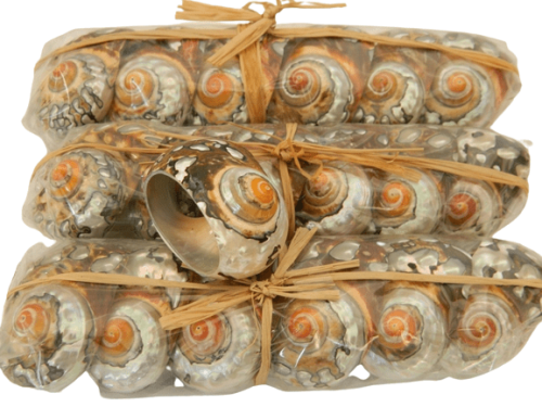 Serviette Rings Sarmaticus 6 in pack