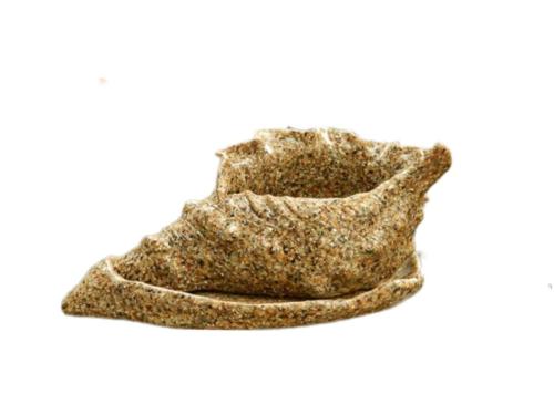 Shell Pot Resin