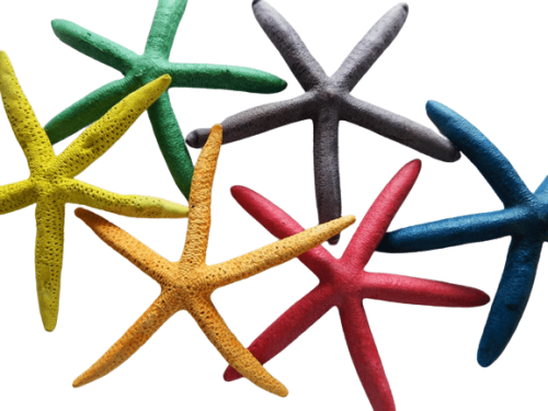 Starfish Finger Coloured6-7" Size13cmX15cm